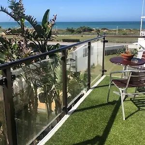 Palm Südafrika
